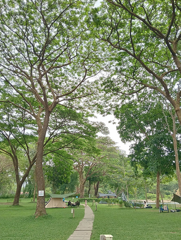 สวนยายเภาแคมป์ปิ้ง นครนายก