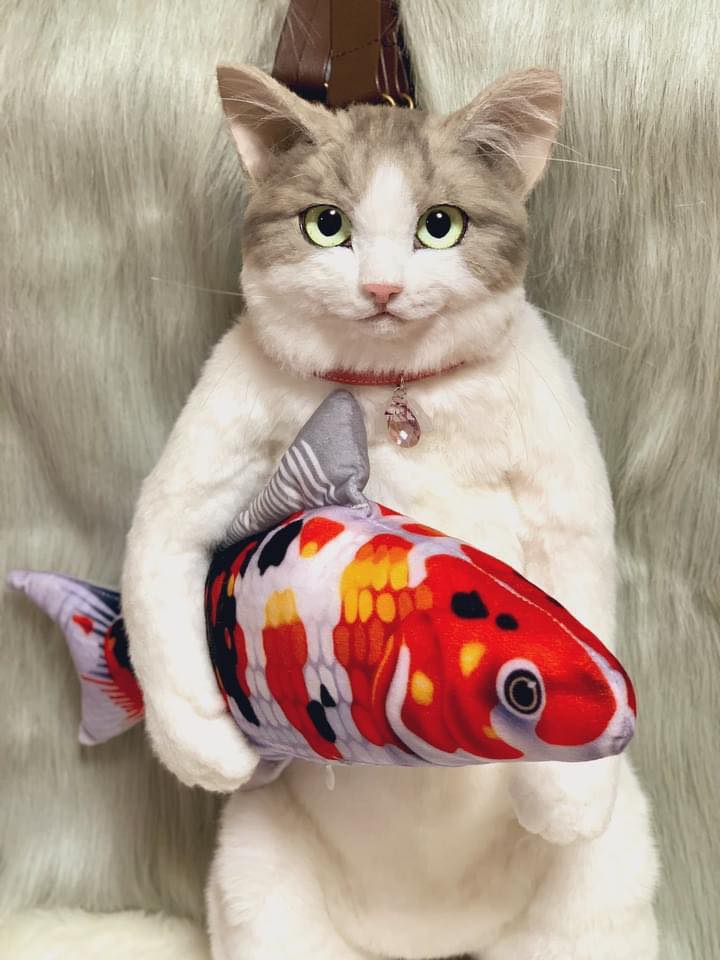 กระเป๋าแมว