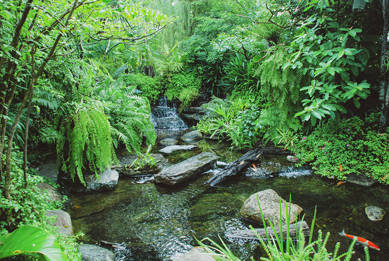 คาเฟ่ย่านเมืองทองธานี-ปากเกร็ด