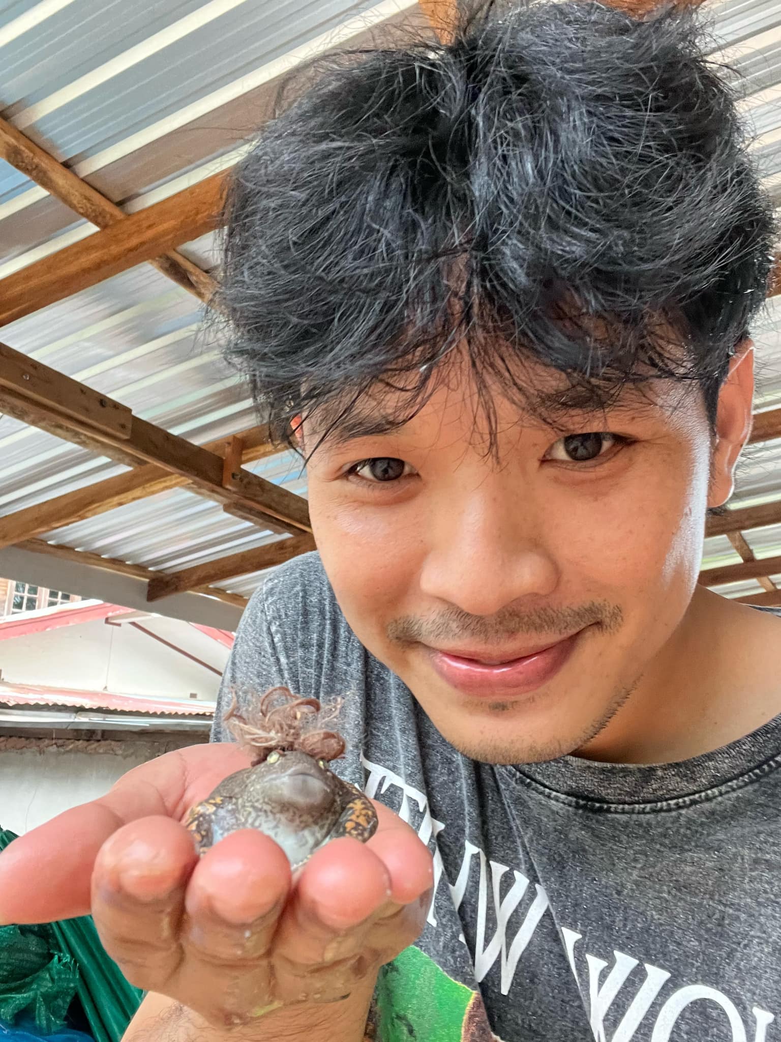 อึ่งอ่าง