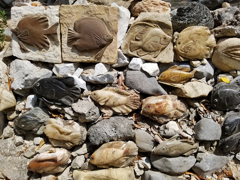 พิพิธภัณฑ์ปลาหิน ดอนสัก สุราษฎร์ธานี