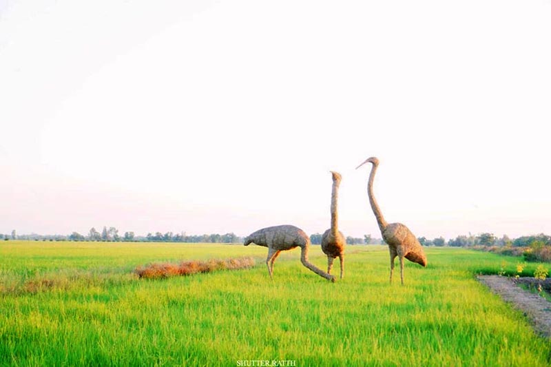 เที่ยวรังนกแลนด์ by นกแปดริ้ว จ.ฉะเชิงเทรา