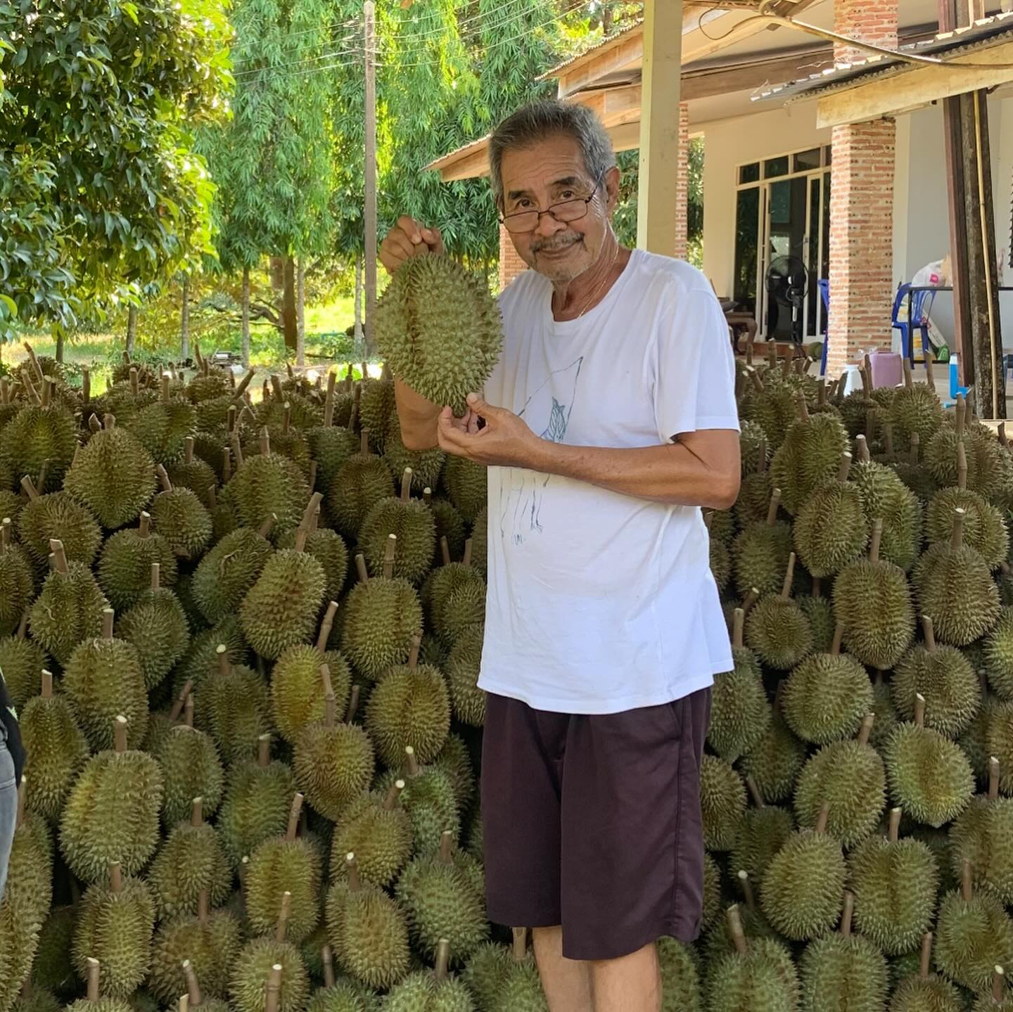 ชลิต เฟื่องอารมย์