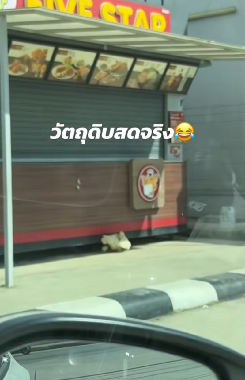ร้านขายไก่