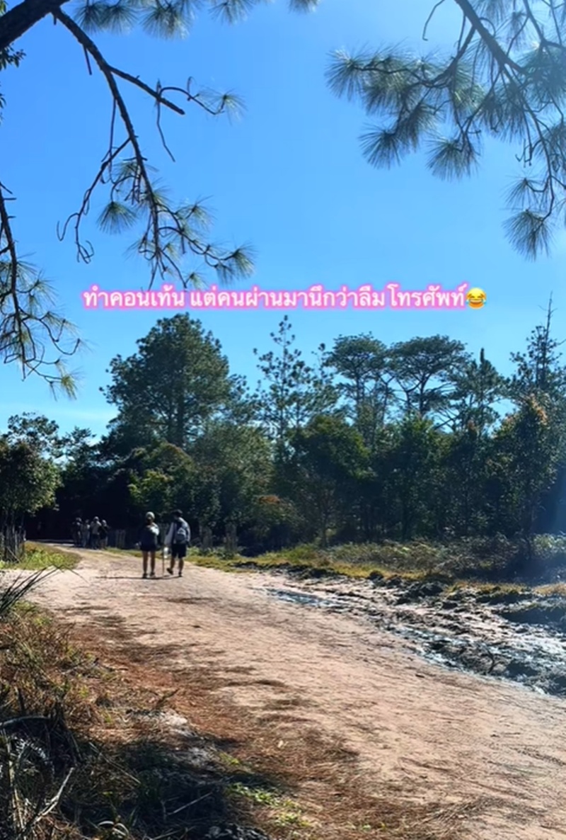 เดินป่า