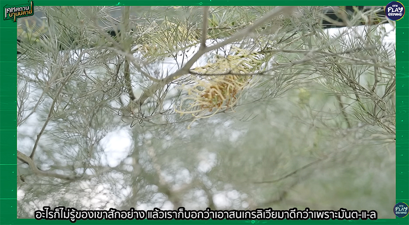 บ้านฝน MonsterFon