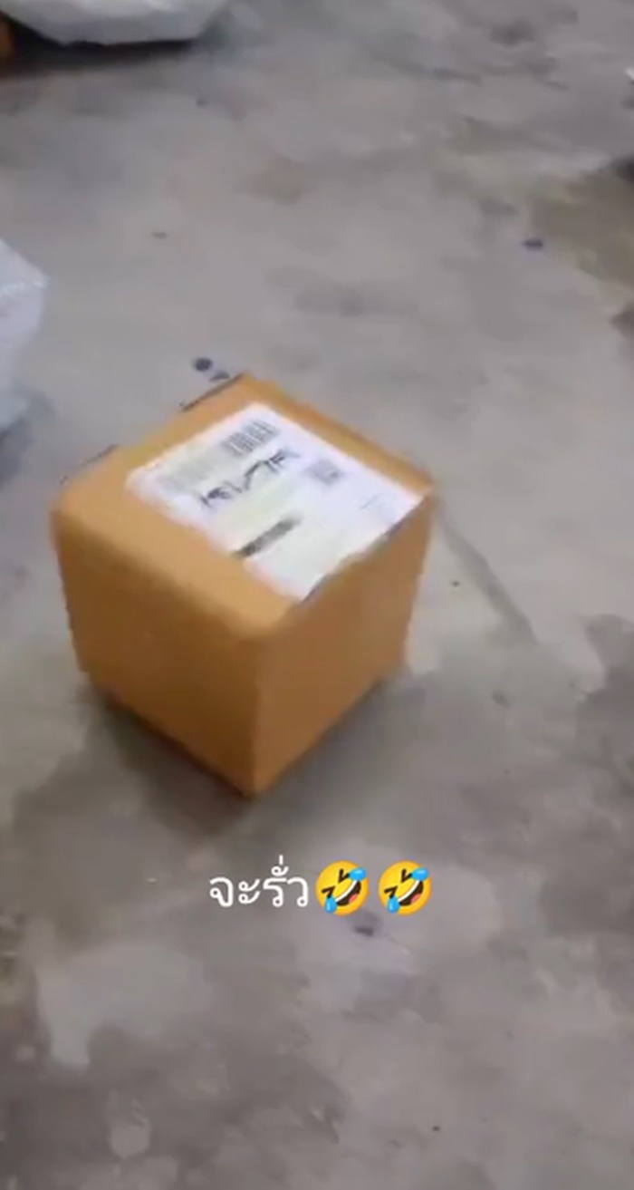 กล่องพัสดุ