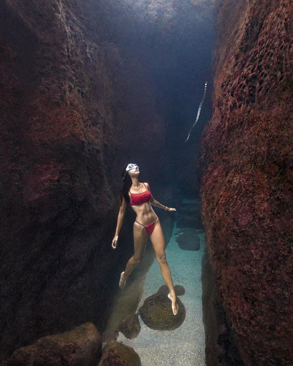 นท พนายางกูร 