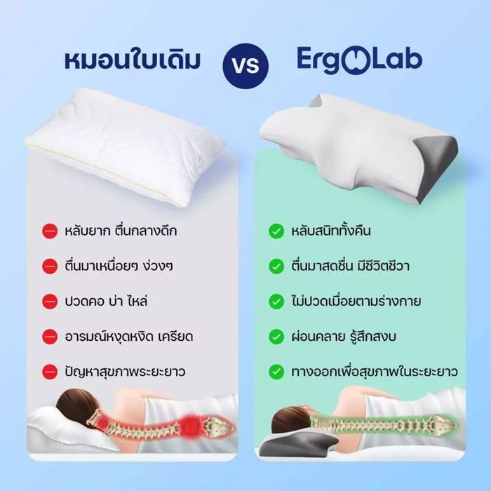 หมอนสุขภาพ Deep Sleep จาก ErgoLab