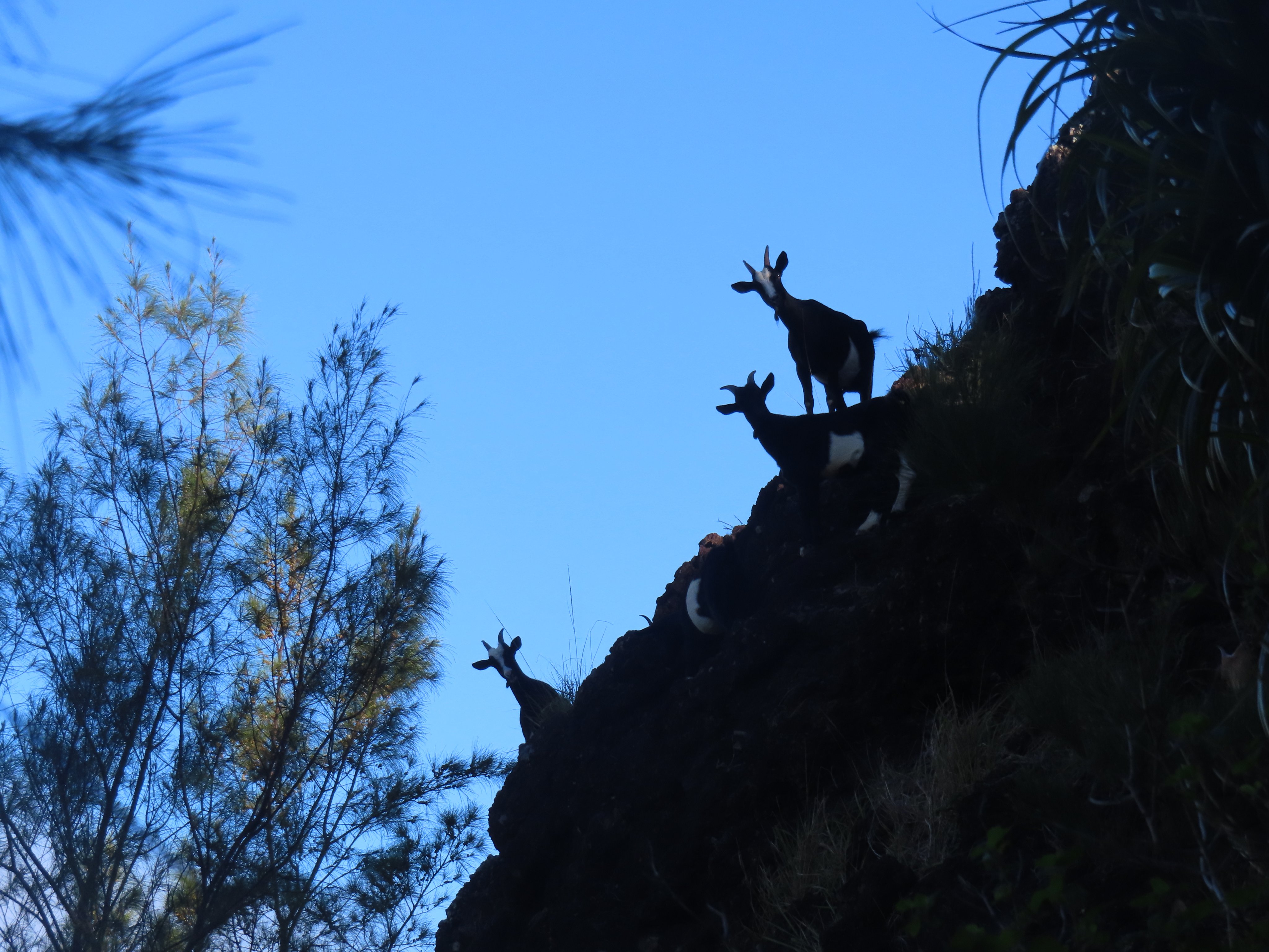 ป้ายเตือน