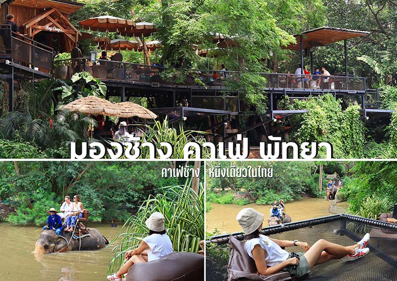 มองช้างคาเฟ่