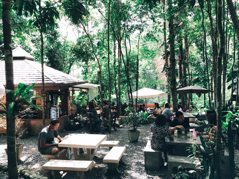 คาเฟ่ในสวนยาง