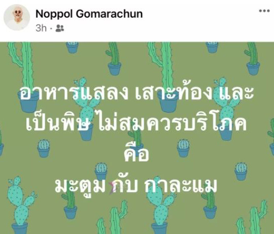 ตู่ นพพล