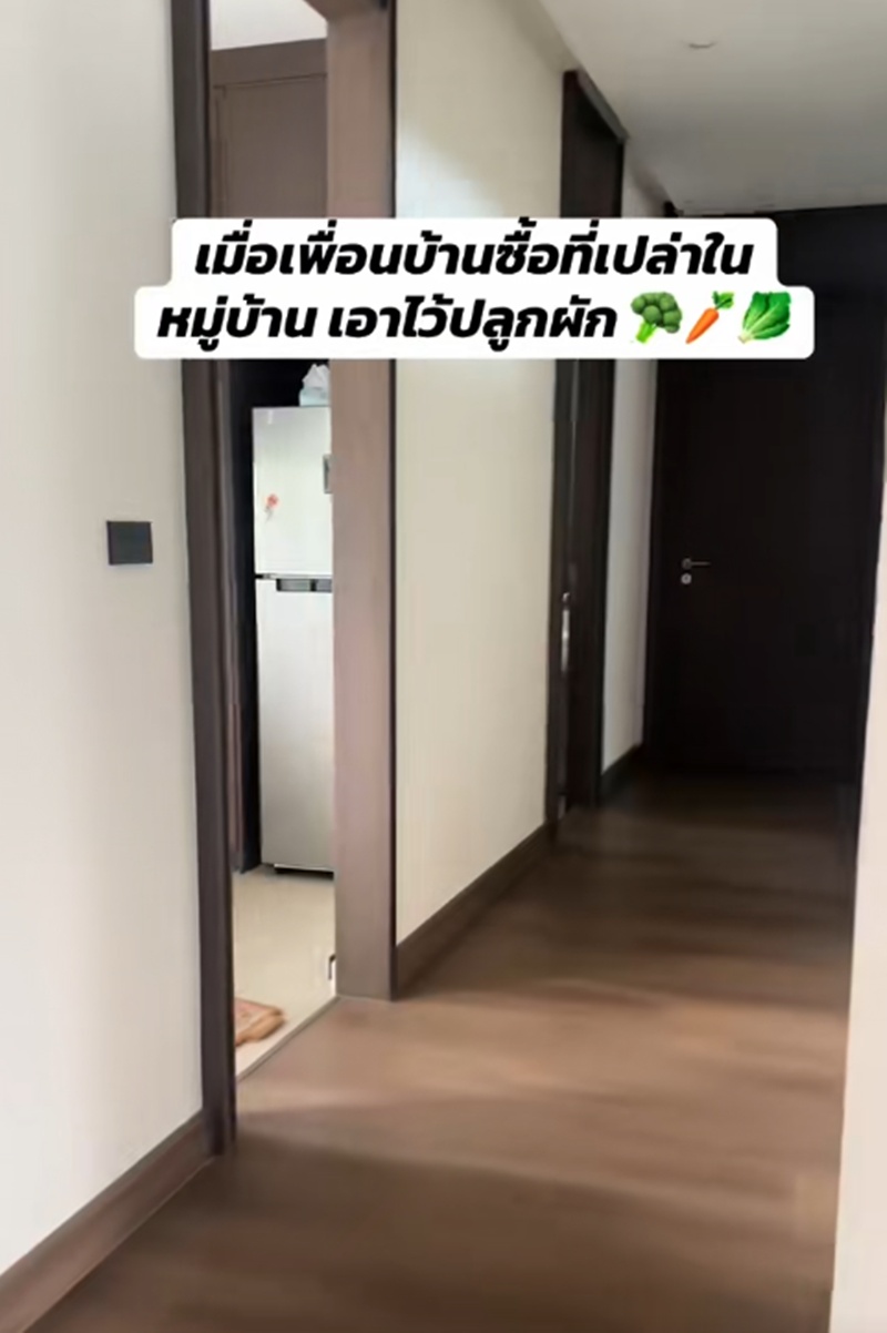 เพื่อนบ้าน