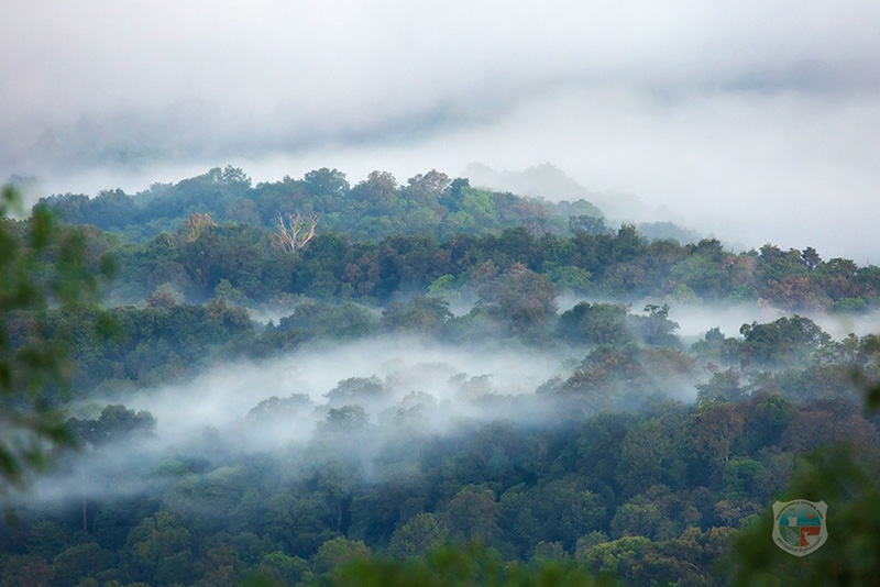 จุดชมวิวร่องกล้าฮั้นแน้ว ภูหินร่องกล้า