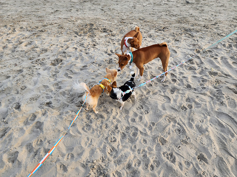 Anantasila Villa By The Sea