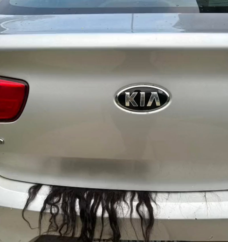 ยัดศพท้ายรถ