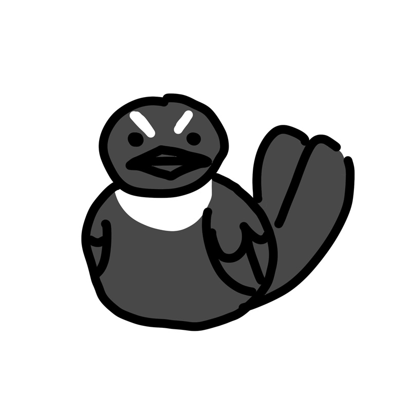 วาดรูปนก