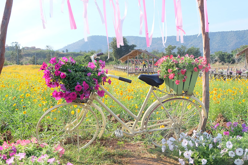 สวนดอกไม้เขาใหญ่