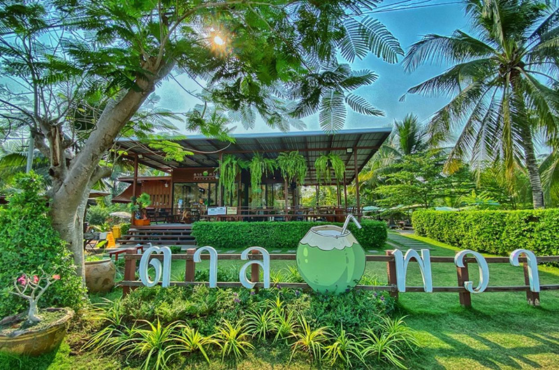 คาเฟ่ในสวนมะพร้าว