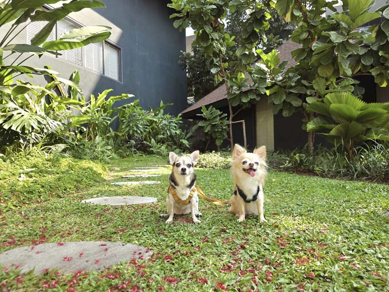 Mercure Rayong Lomtalay โรงแรมระยอง