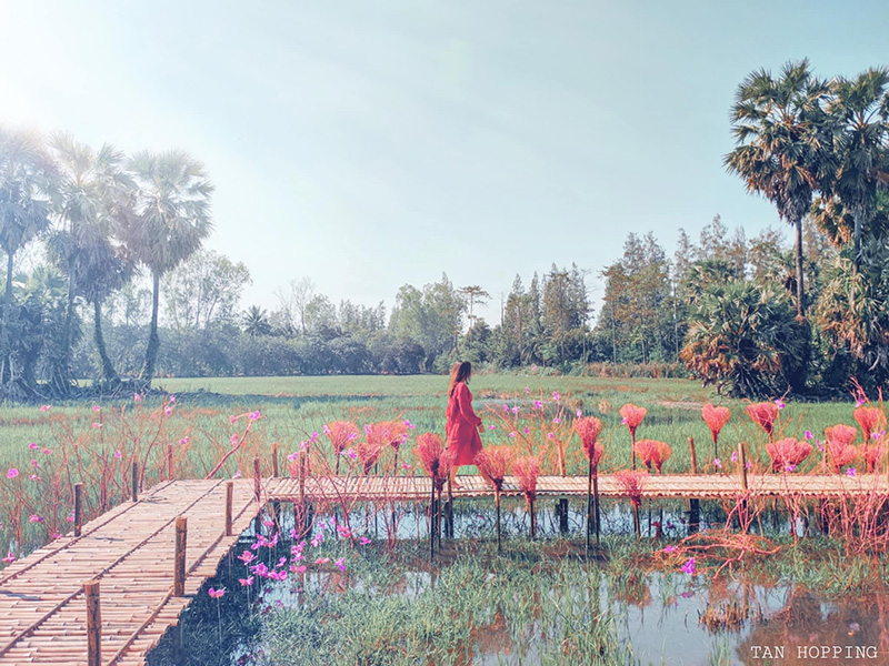 งานรักดอกราชบุรี