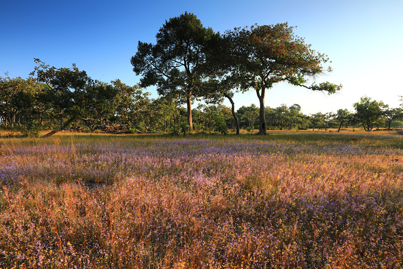 ที่เที่ยวปลายฝนต้นหนาว