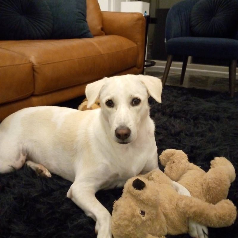 น้องดิ๊กกี้