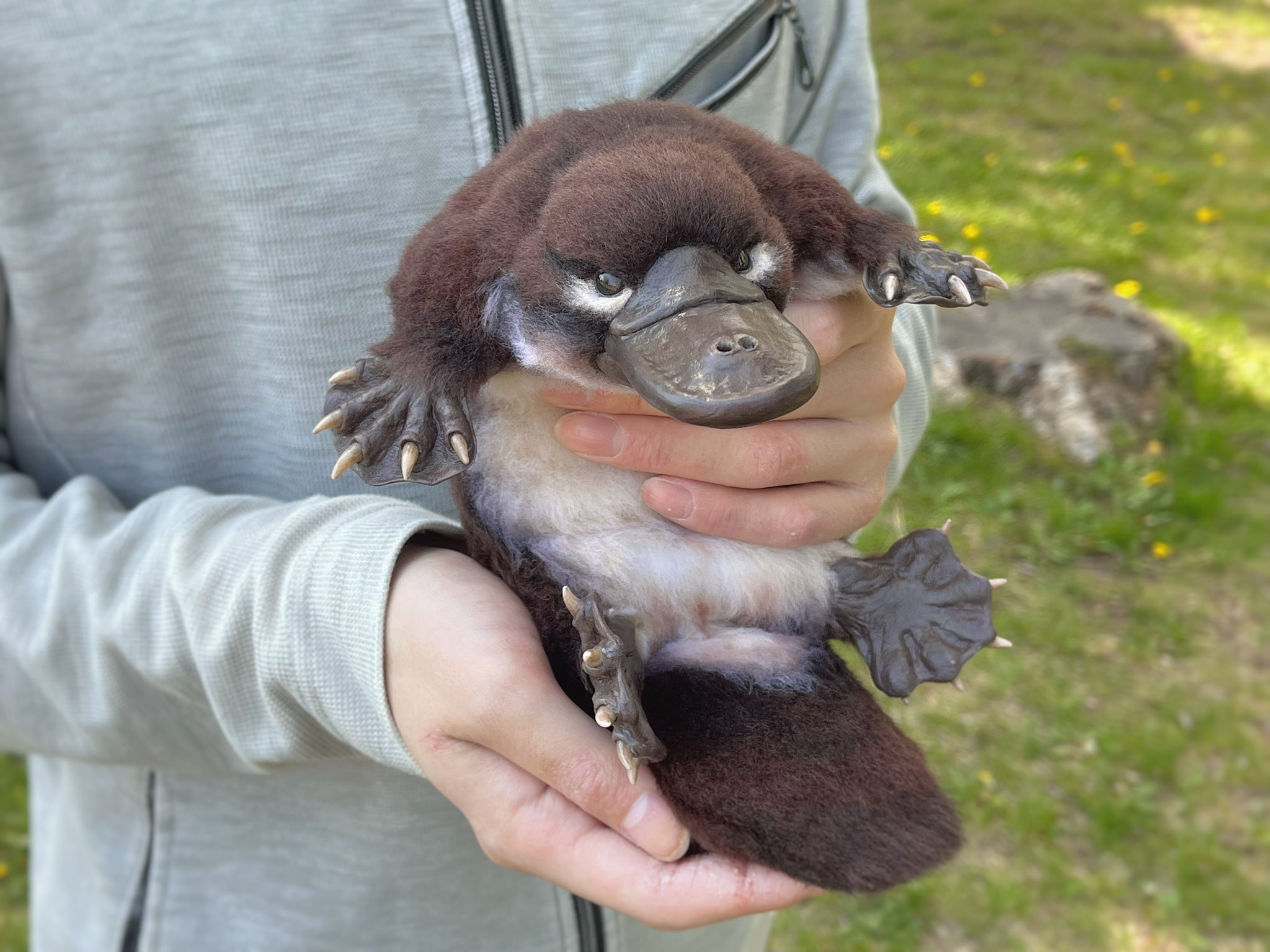 ตุ่นปากเป็ด