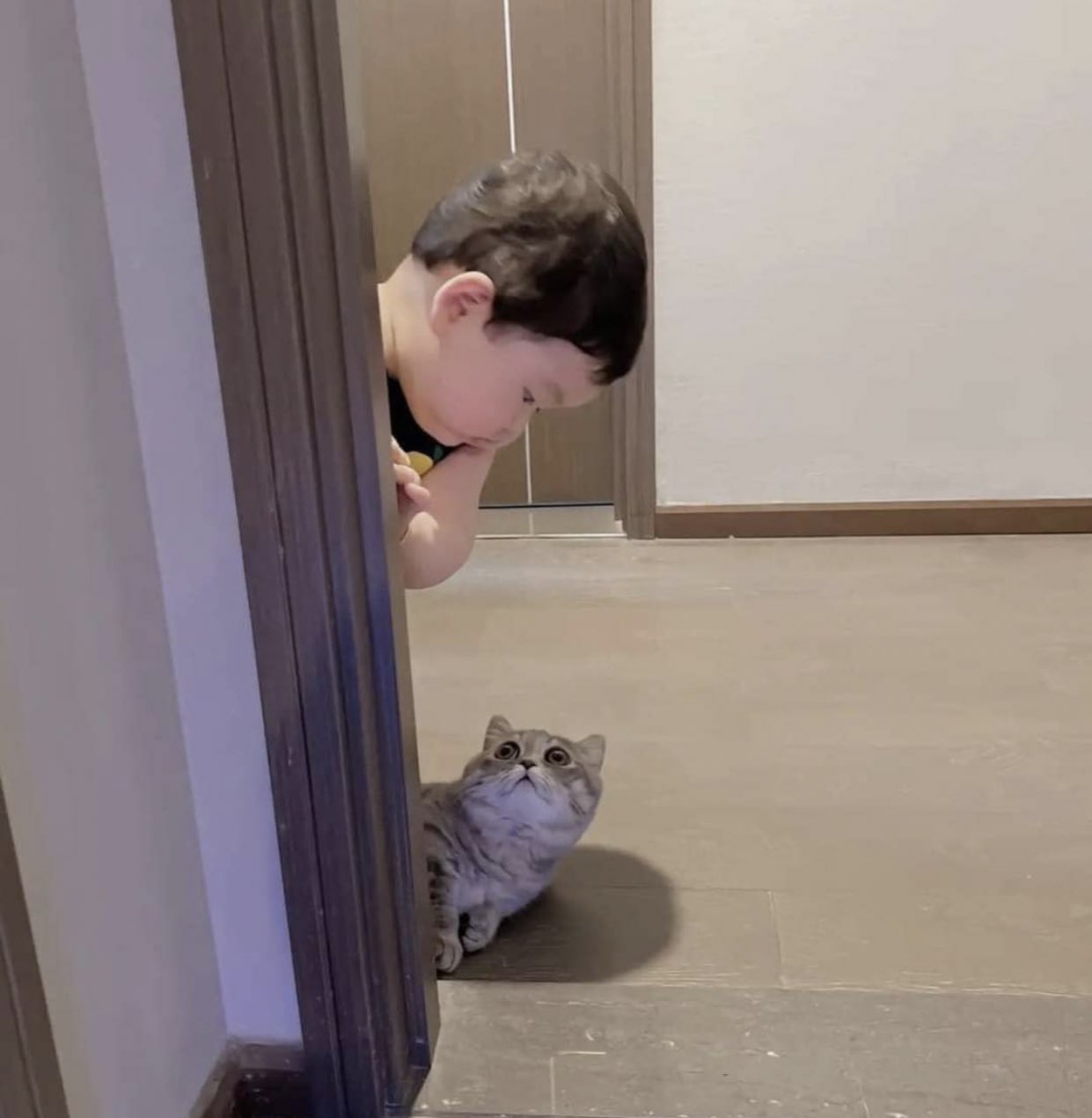 แอบดู