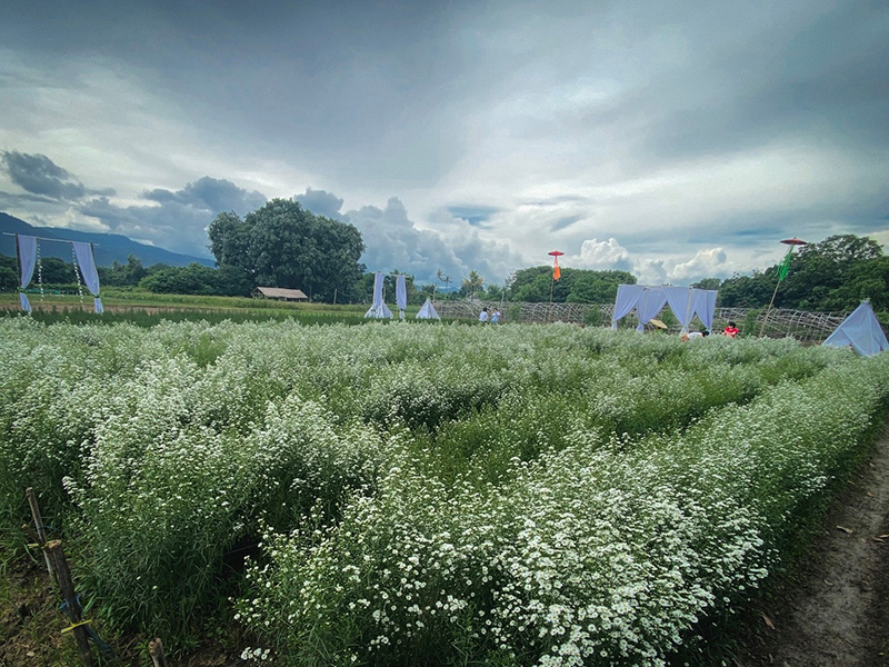 สุรชัยฟาร์ม