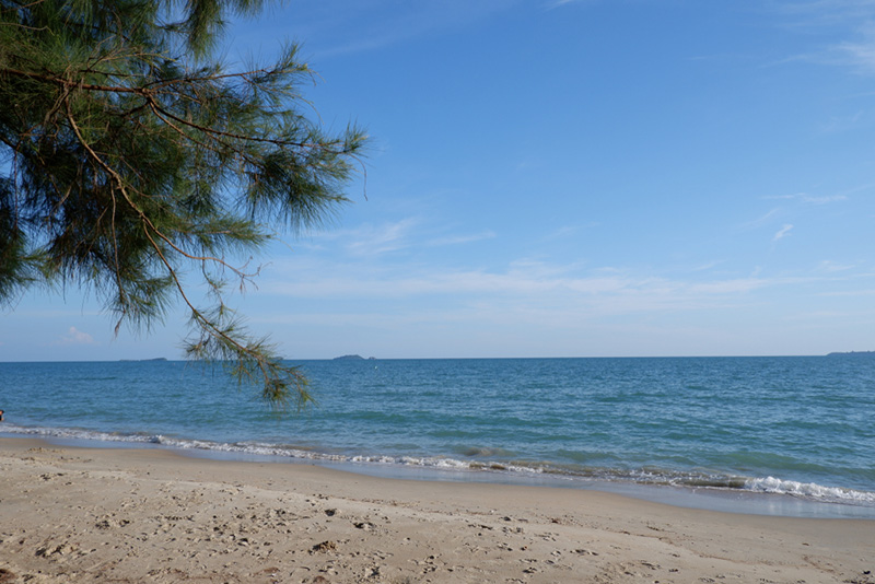 หาดสวนสน