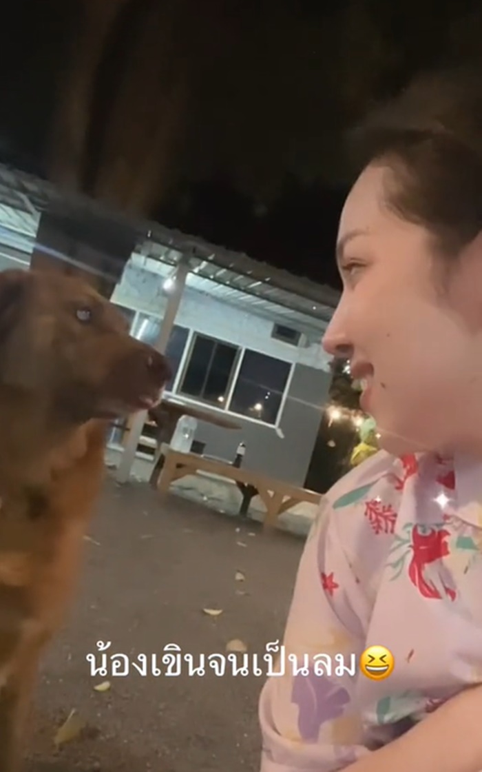 เล่นกับหมา