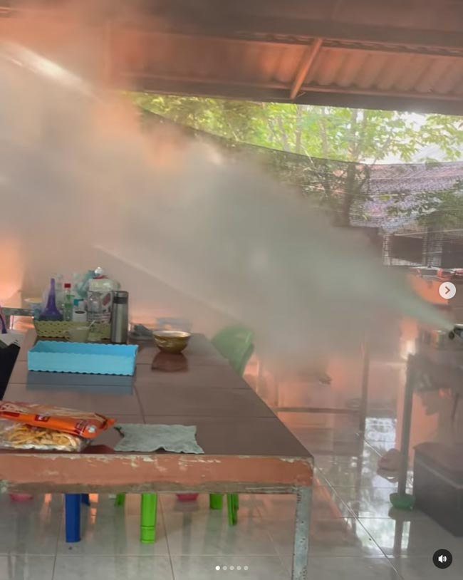 ปาน ธนพร