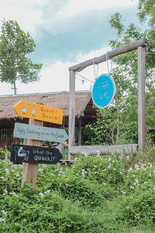 The Ugly Duckling Learning Farm