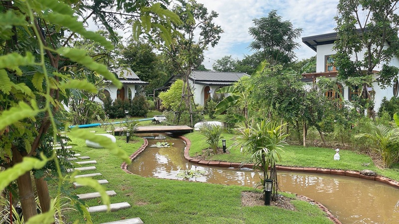 แปลงผัก