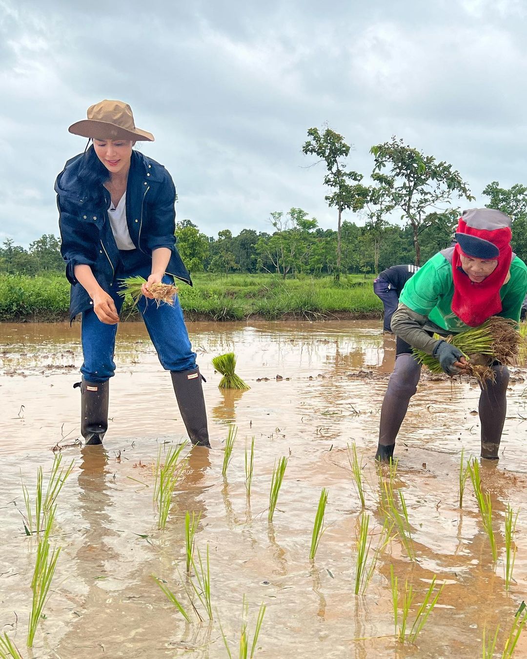 เชอรี่ เข็มอัปสร