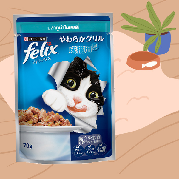 Felix (เฟลิกซ์)