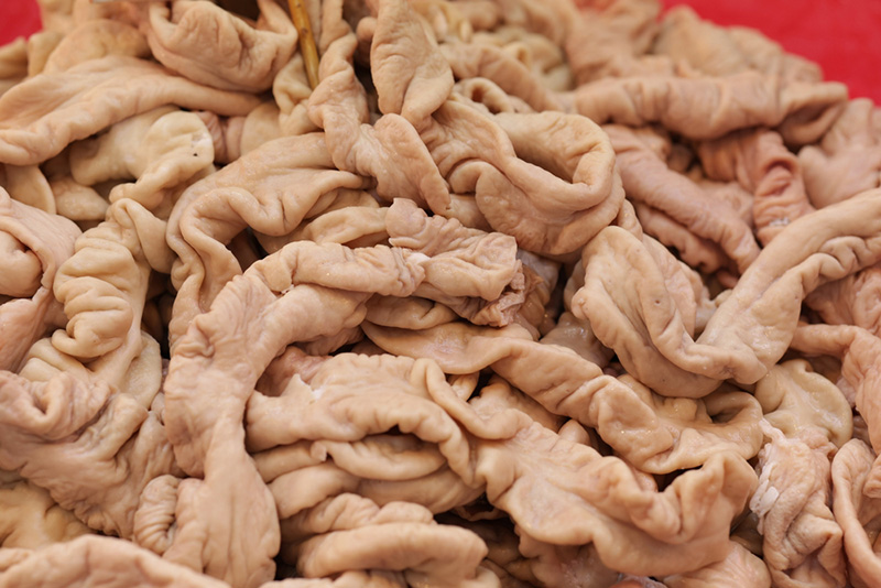 ไส้อ่อนหมู