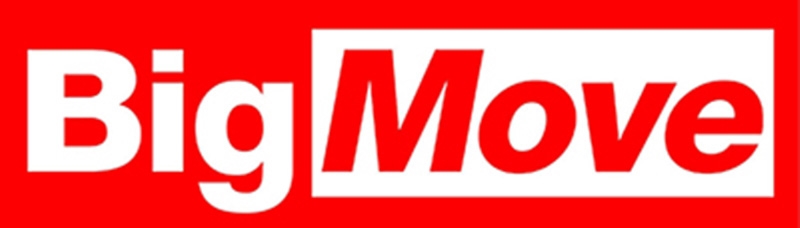 บิ๊กมูฟ (Big Move)