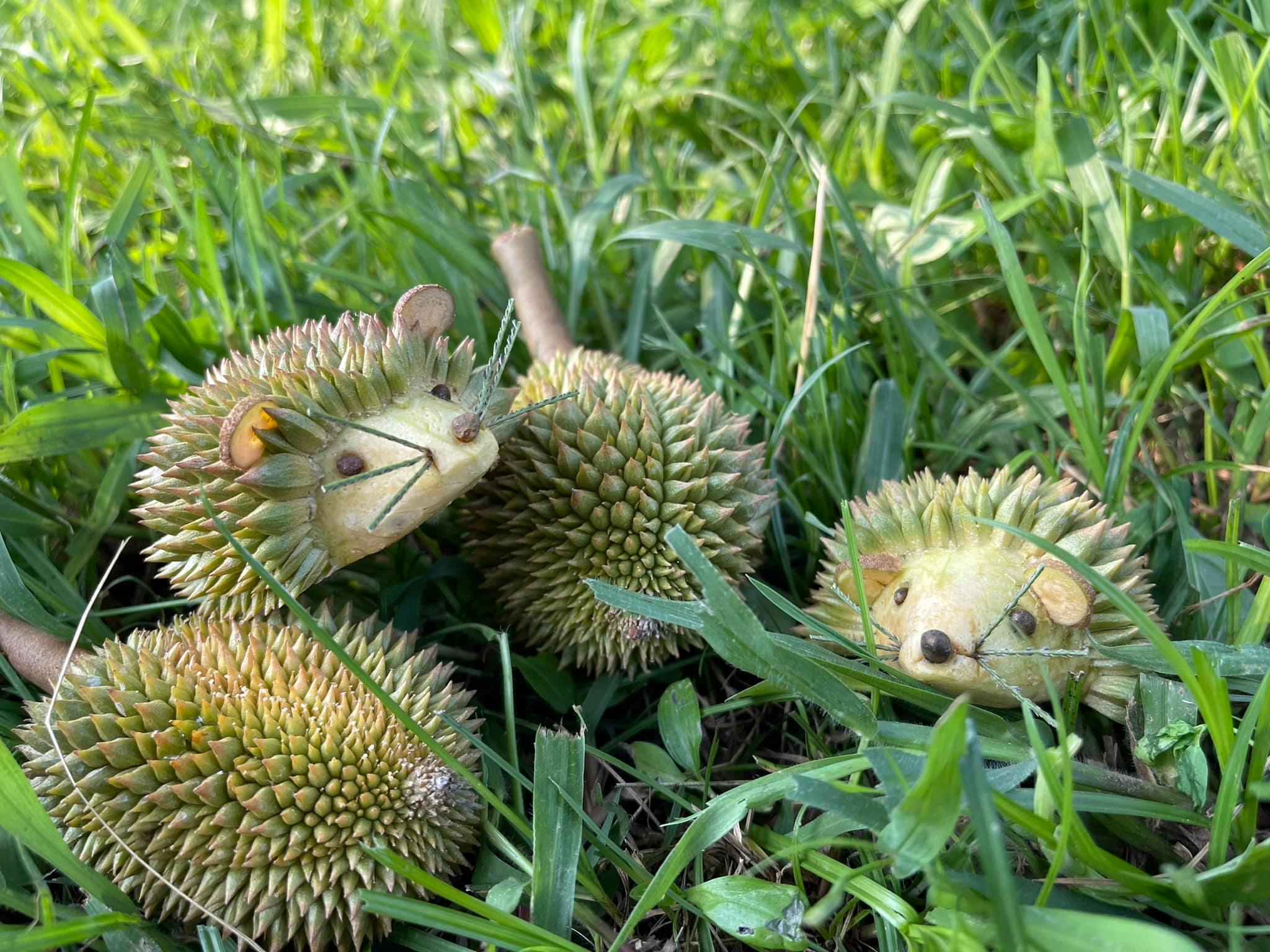 แกะสลักทุเรียน