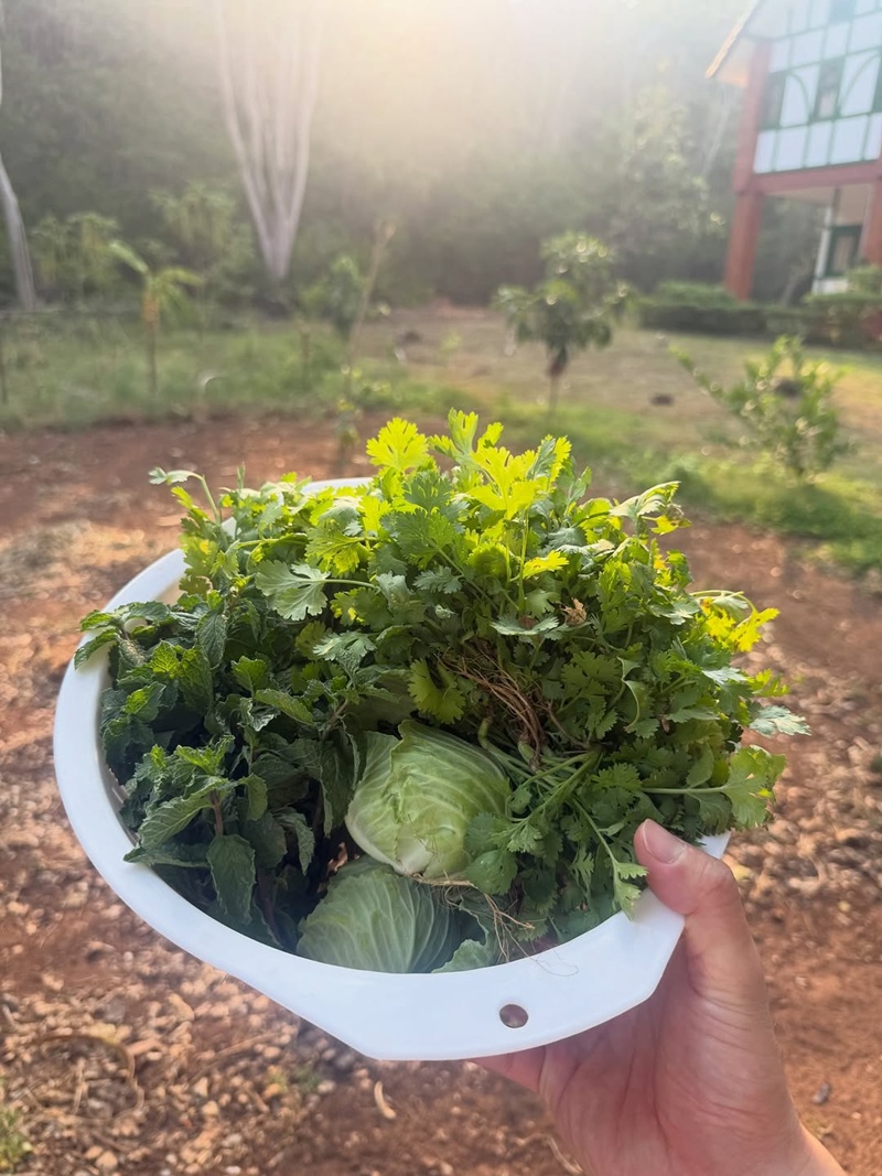 หมอโอ๊ค สมิทธิ์