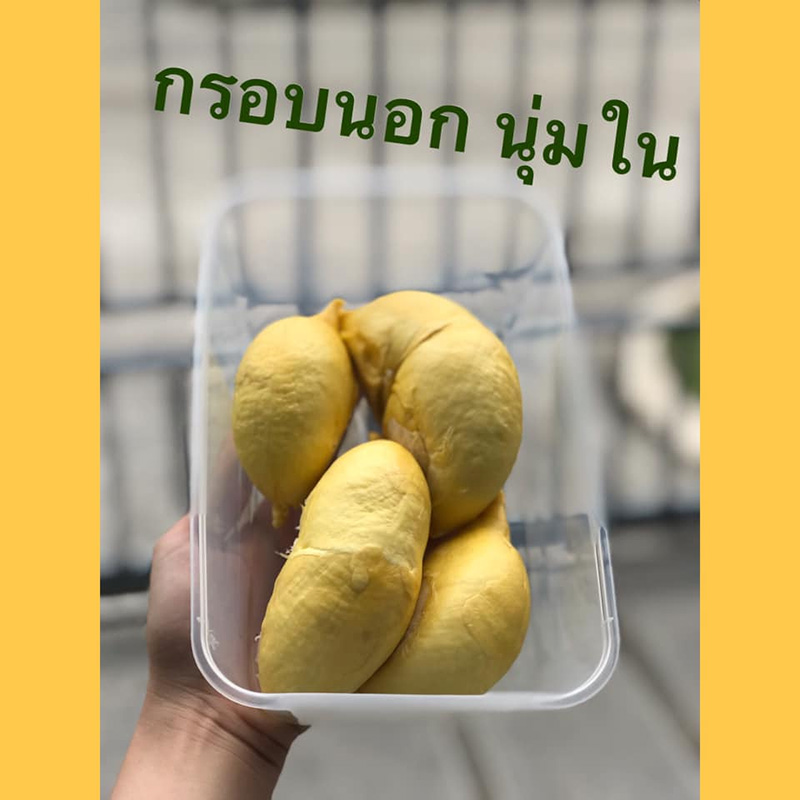 สวนผลไม้ระยอง จันทบุรี 2563