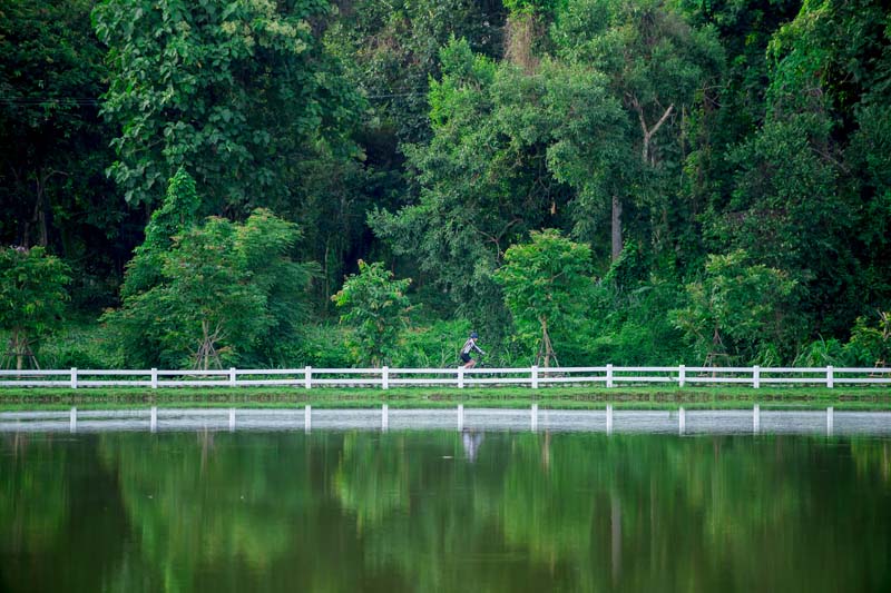 สวน อบจ เชียงใหม่ พื้นที่สีเขียว
