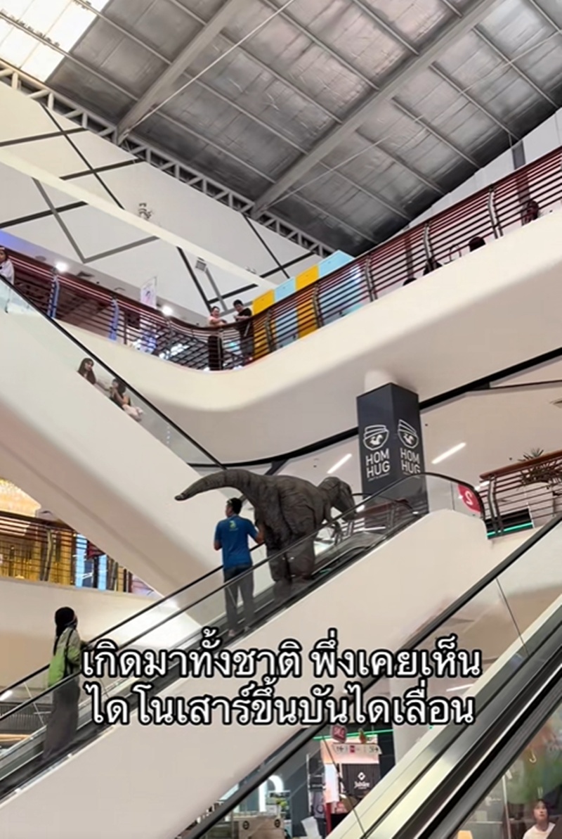 ไดโนเสาร์ขึ้นบันไดเลื่อน