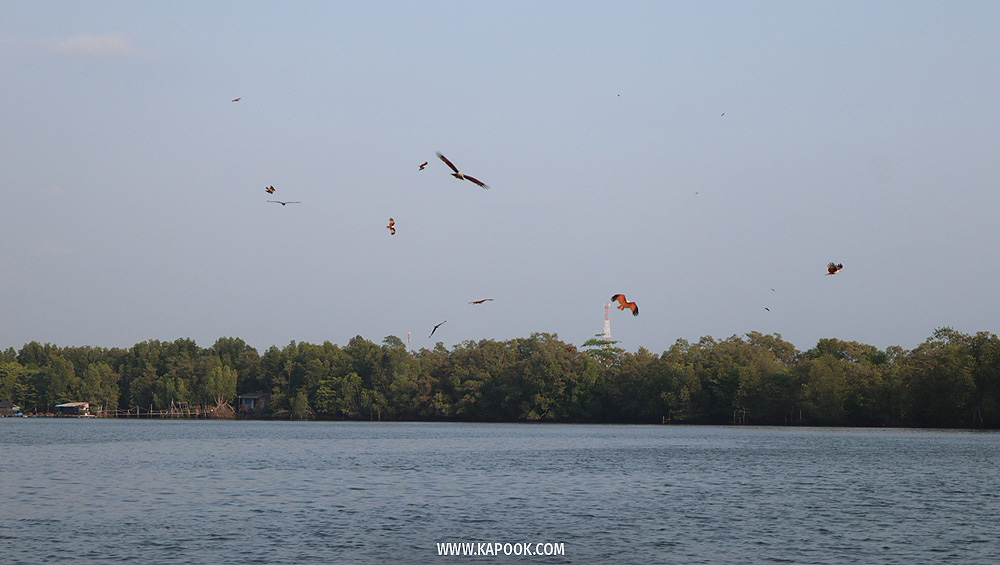 เที่ยวระยอง