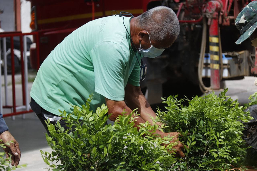 สวนนงนุชพัทยา สาขา พัทยากลาง