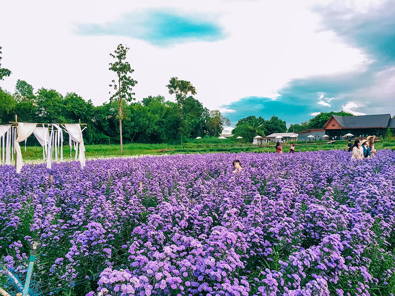 สวนดอกไม้ อุดรธานี