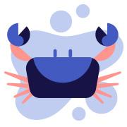 สีผมเสริมดวง