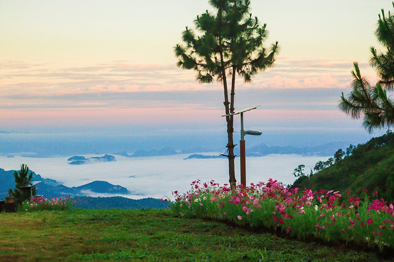 ดอยจิกจ้อง